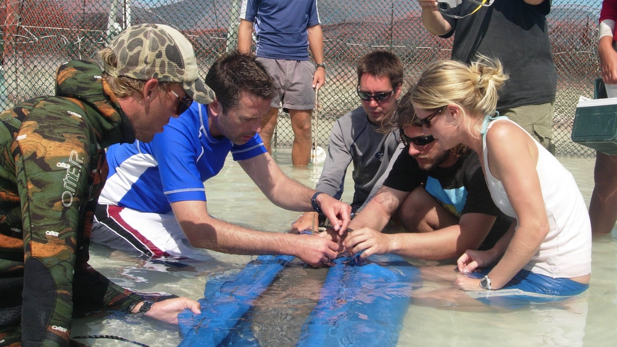 marine-geography-school-of-earth-and-ocean-sciences-cardiff-university