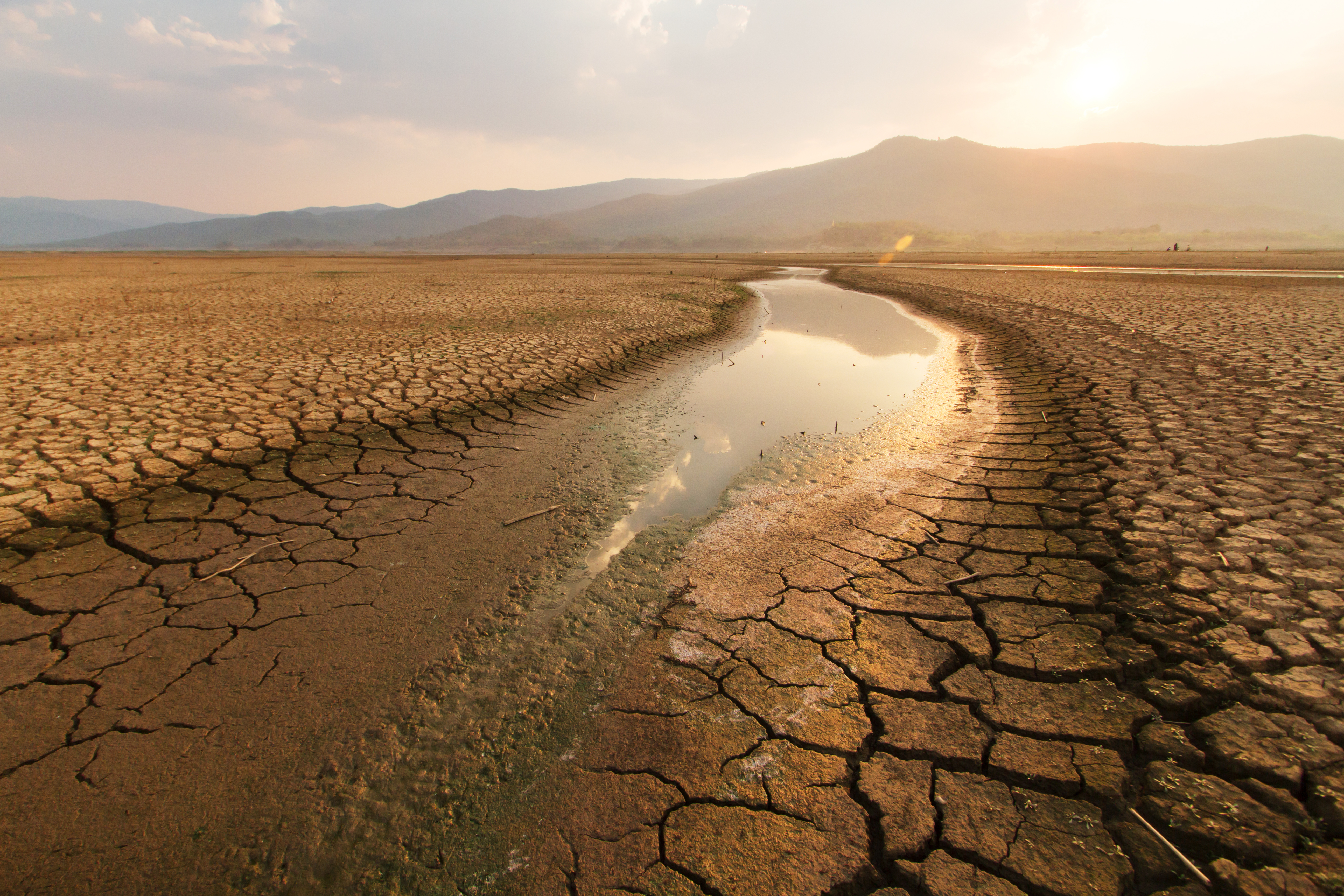 Rivers in the desert. Аридное опустынивание. Опустынивание Марокко. Антропогенное опустынивание. Опустынивание Калифорния.