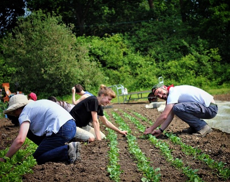 Wales can have the most secure and sustainable food system in the world ...