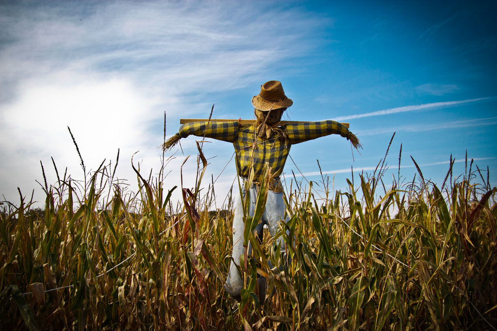 scarecrows-community-cardiff-university