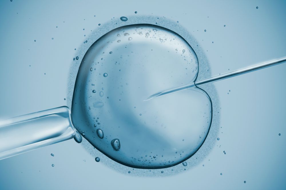 Defective sperm ‘rescued’ in fertility treatment study - News - Cardiff ...